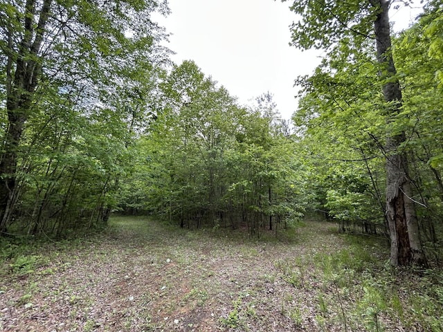 2795 Raulston Falls Rd, Jasper, TN 37347