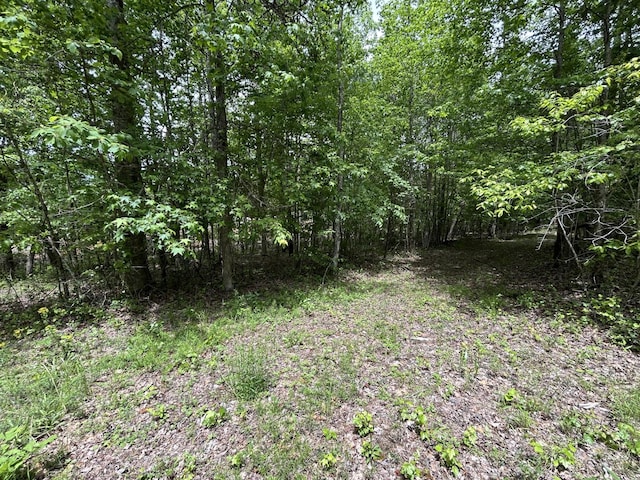 2795 Raulston Falls Rd, Jasper, TN 37347