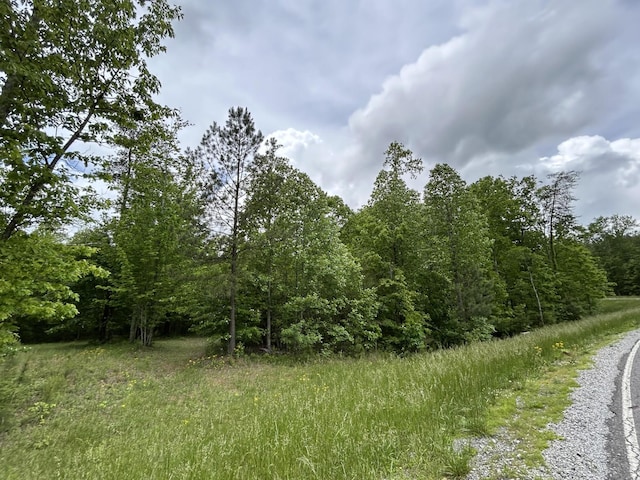 2795 Raulston Falls Rd, Jasper, TN 37347