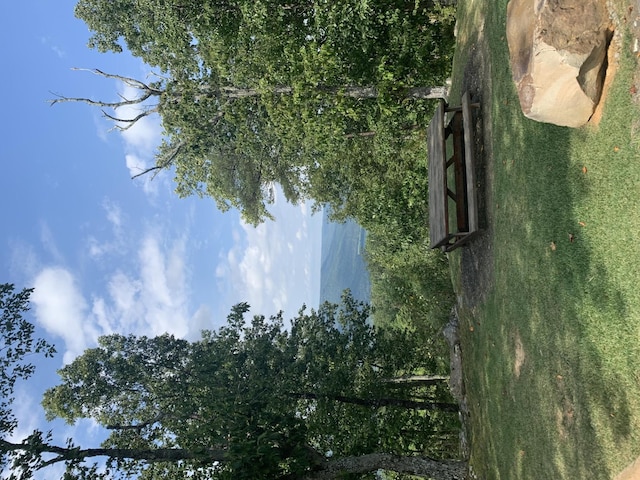 2795 Raulston Falls Rd, Jasper, TN 37347