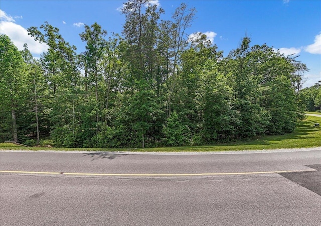 2795 Raulston Falls Rd, Jasper, TN 37347 - photo 4