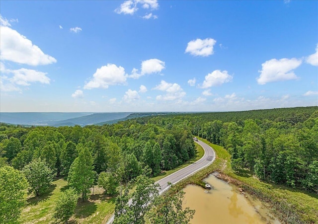2795 Raulston Falls Rd, Jasper, TN 37347 - photo 2