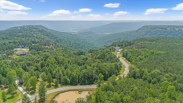 2795 Raulston Falls Rd, Jasper, TN 37347 - photo 12