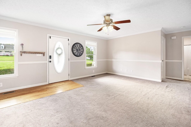 carpeted foyer entrance featuring ceiling fan, ornamental molding, baseboards, and a textured ceiling