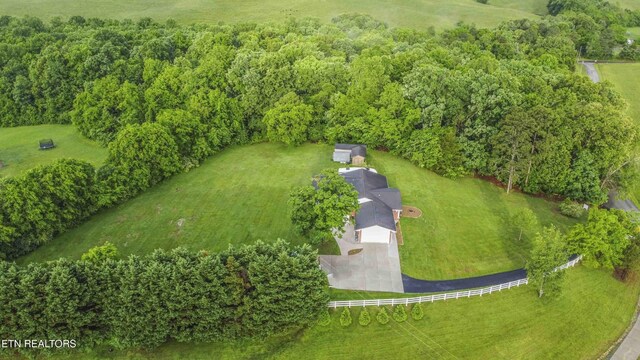 1124 Carolina Dr, Dandridge, TN 37725 - photo 42