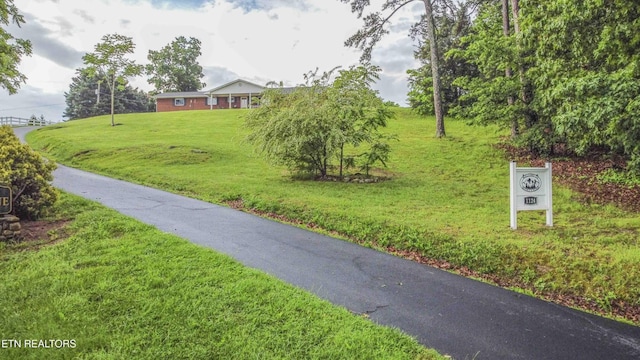 1124 Carolina Dr, Dandridge, TN 37725 - photo 44