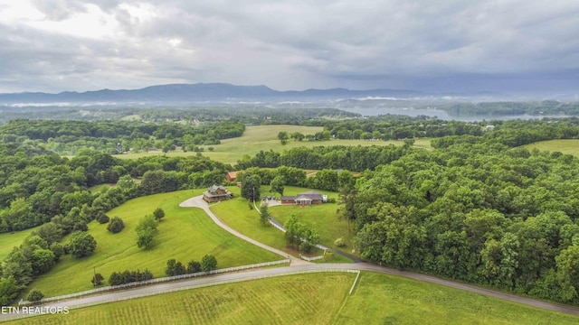 1124 Carolina Dr, Dandridge, TN 37725 - photo 45