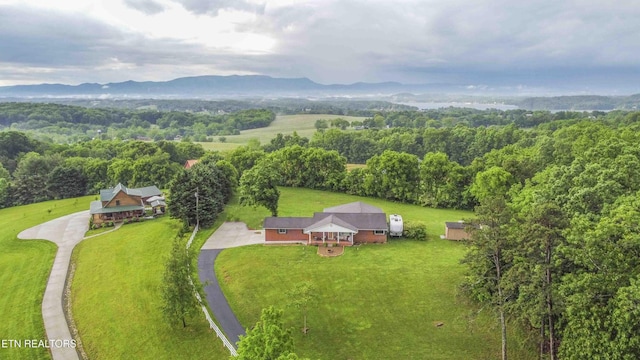 1124 Carolina Dr, Dandridge, TN 37725 - photo 43