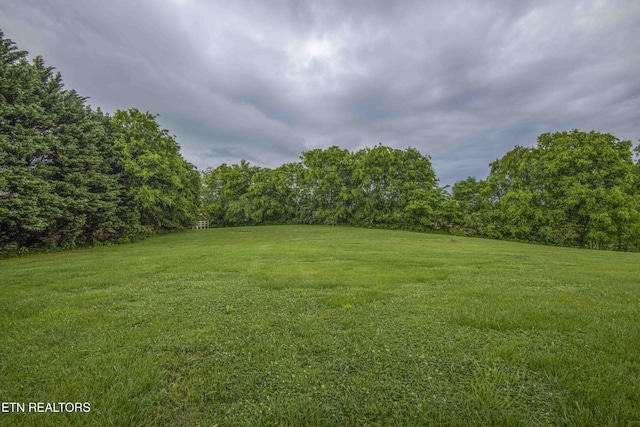 1124 Carolina Dr, Dandridge, TN 37725 - photo 53