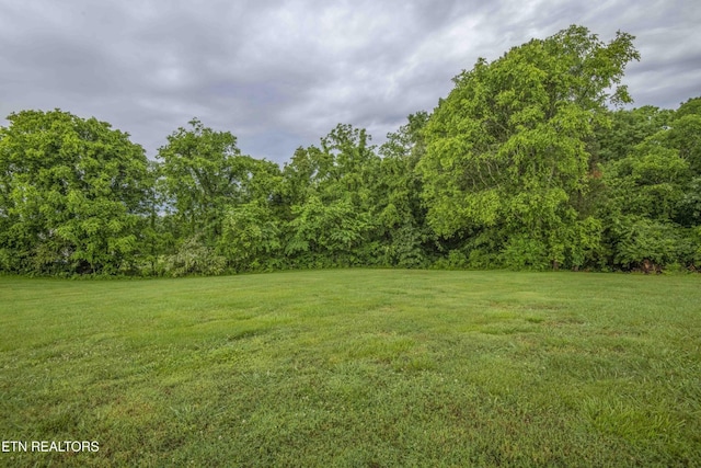 1124 Carolina Dr, Dandridge, TN 37725 - photo 52