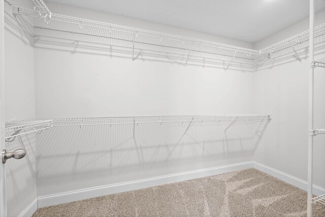 517 Canyon View Ct, Clarksville, TN 37040 - photo 22