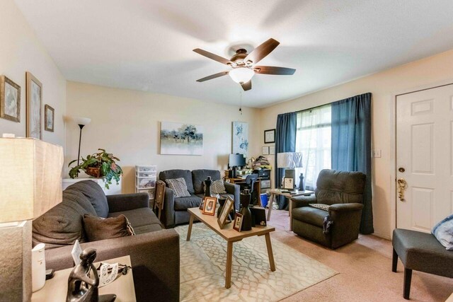 1306 E 9th St E, Hopkinsville, KY 42240 - photo 6