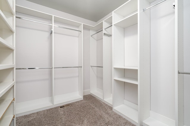 2804 Battleground Dr, Murfreesboro, TN 37129 - walk in closet featuring carpet