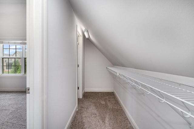 2804 Battleground Dr, Murfreesboro, TN 37129 - spacious closet with carpet and vaulted ceiling