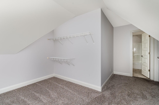 2804 Battleground Dr, Murfreesboro, TN 37129 - walk in closet featuring carpet flooring and vaulted ceiling
