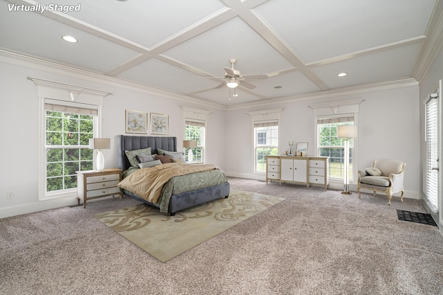 2804 Battleground Dr, Murfreesboro, TN 37129 - bedroom with coffered ceiling, carpet, multiple windows, baseboards, and beamed ceiling