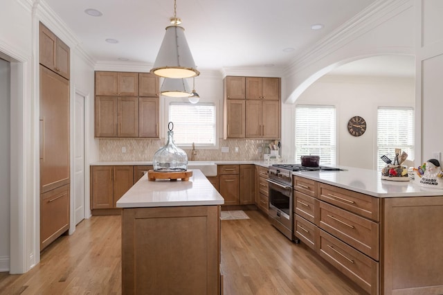 635 Band Dr, Franklin, TN 37064 - kitchen with high end stainless steel range, a peninsula, light wood-style flooring, a sink, and crown molding