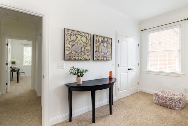 635 Band Dr, Franklin, TN 37064 - hallway featuring carpet floors, ornamental molding, and baseboards