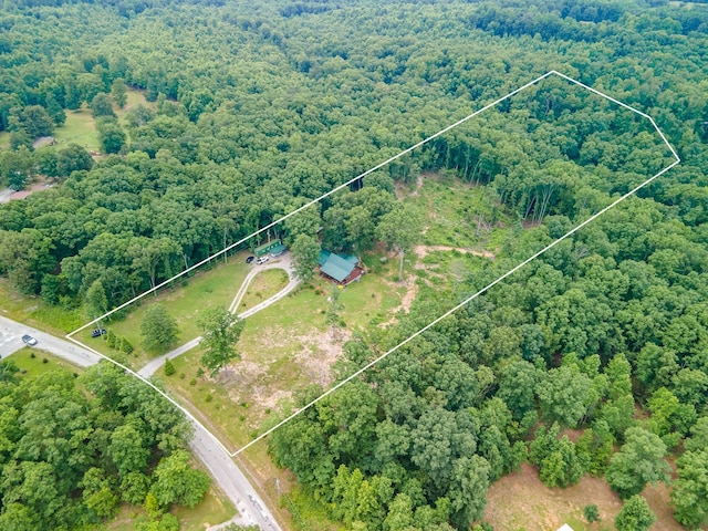 142 Kimberly Rd, Hohenwald, TN 38462 - aerial view of property and surrounding area with a forest and property boundaries highlighted