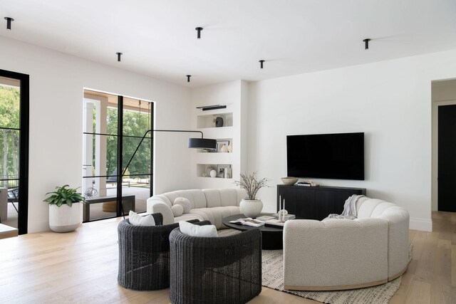 9052 Passiflora Ct, College Grove, TN 37046 - living room with plenty of natural light and light wood-style floors