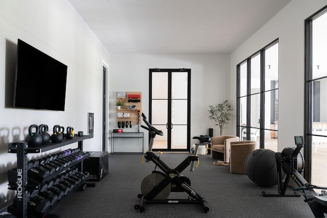 9052 Passiflora Ct, College Grove, TN 37046 - gym with carpet