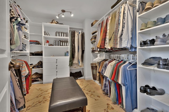 606 Tywater Crossing Blvd, Franklin, TN 37064 - view of spacious closet