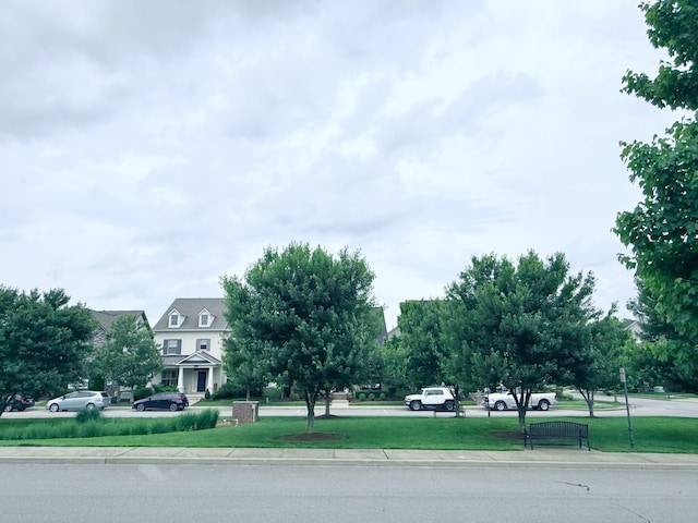 606 Tywater Crossing Blvd, Franklin, TN 37064 - view of asphalt road with curbs