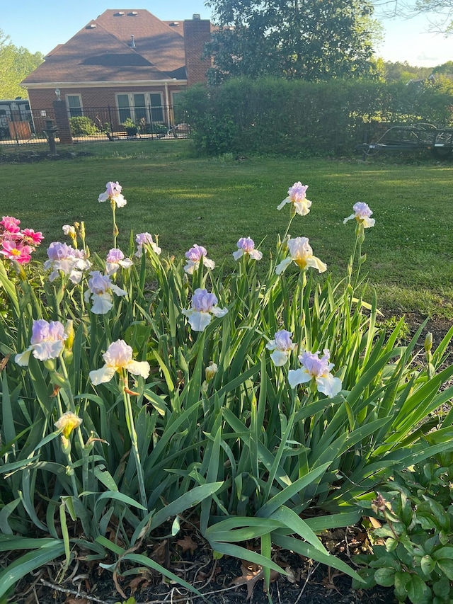 2926 Lisa Dr, Springfield, TN 37172 - view of yard