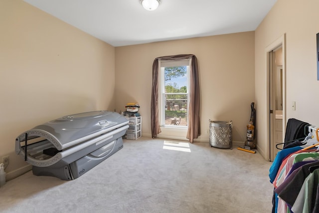 2926 Lisa Dr, Springfield, TN 37172 - misc room featuring carpet flooring