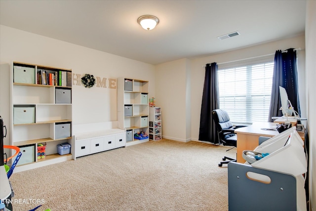 1242 Bill Wallace Dr, Friendsville, TN 37737 - office featuring carpet floors and baseboards
