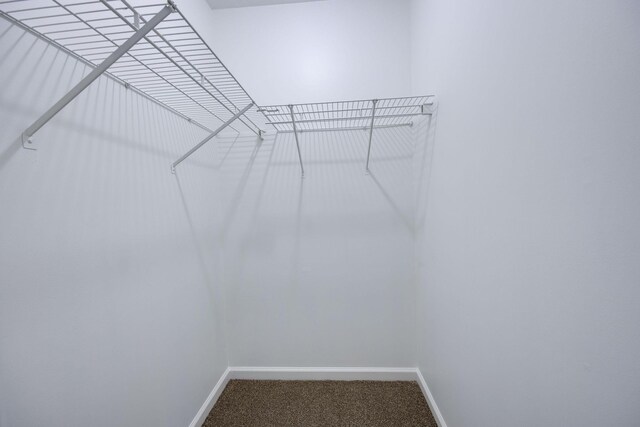 880 Denning Ford Rd, Portland, TN 37148 - photo 22