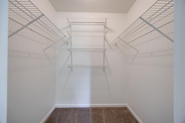 880 Denning Ford Rd, Portland, TN 37148 - photo 25