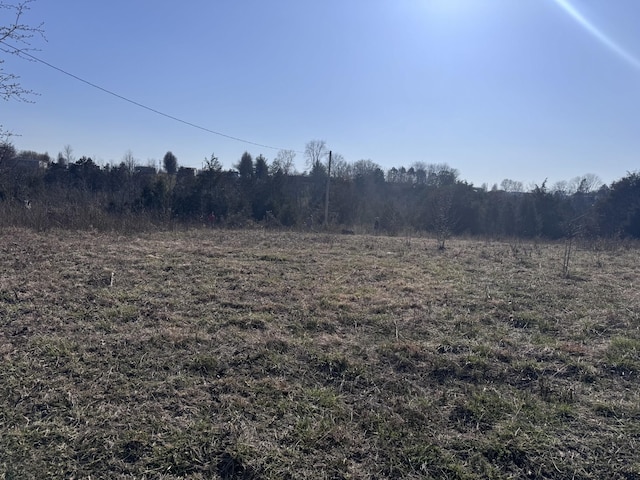 0 Ward Hollow Rd, Brush Creek, TN 38547