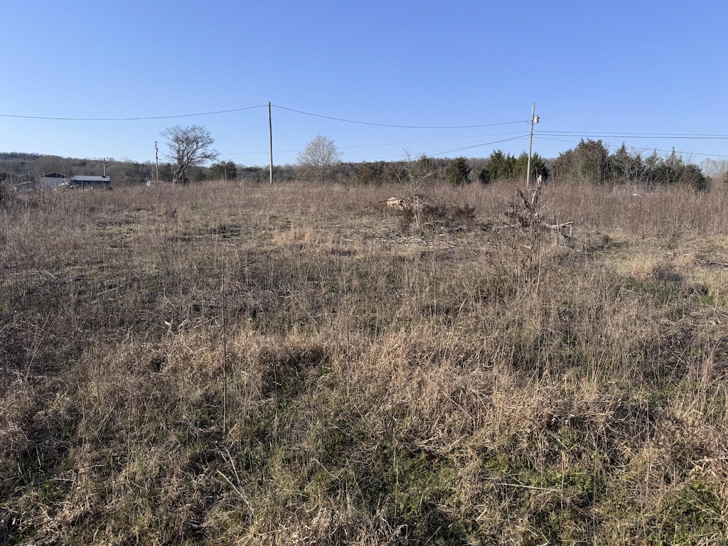 0 Ward Hollow Rd, Brush Creek, TN 38547 - photo 2