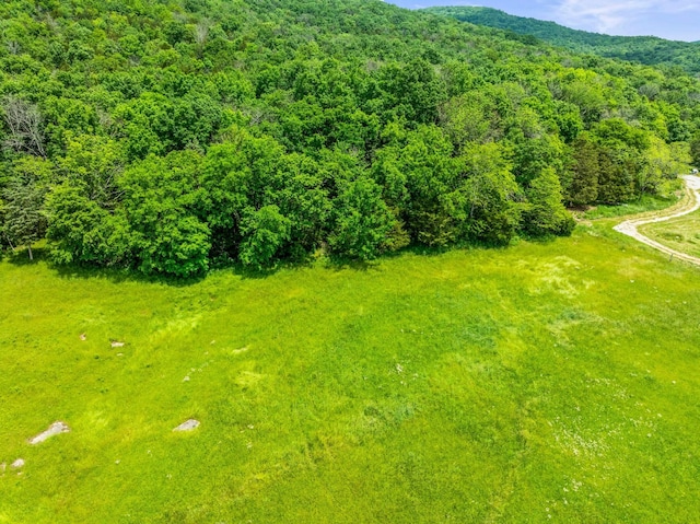 0 Hawkins Cove Rd, Cowan, TN 37318