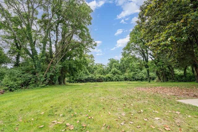 909 Gale Ln Unit A, Nashville, TN 37204 - view of grassy yard