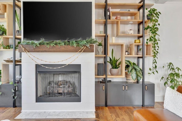 living room featuring a fireplace and wood finished floors