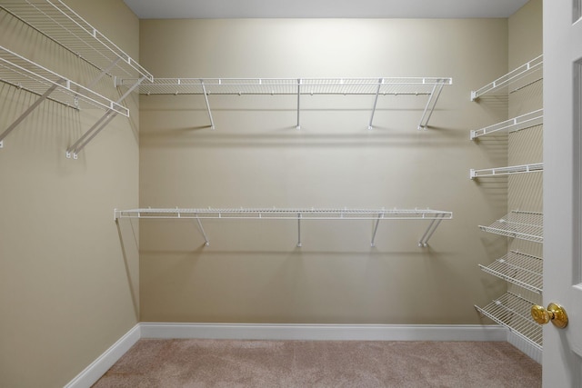 153 Magnolia Glen Cir, Manchester, TN 37355 - spacious closet featuring carpet floors