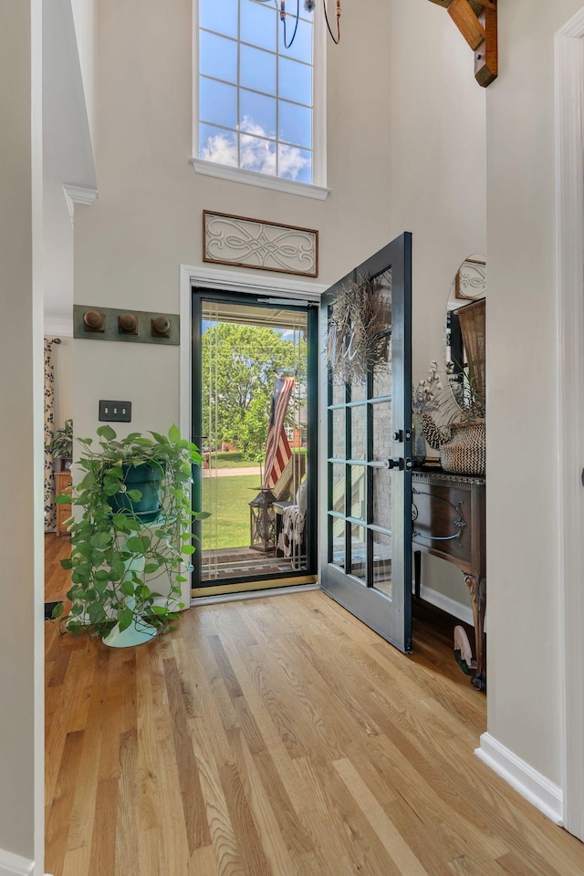 213 Hickory Trl, White House, TN 37188 - foyer entrance featuring wood finished floors, a towering ceiling, and baseboards