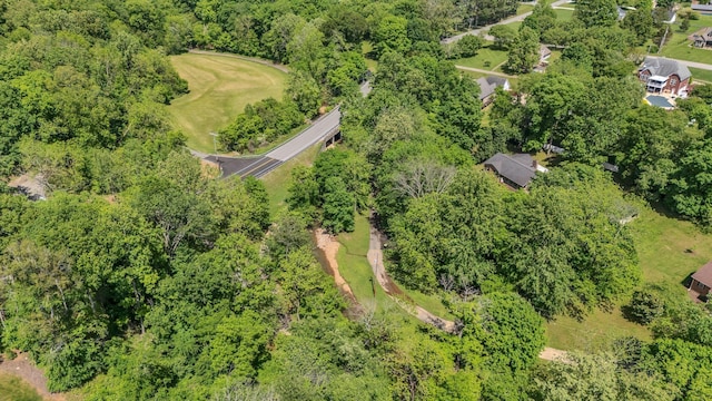 213 Hickory Trl, White House, TN 37188 - drone / aerial view