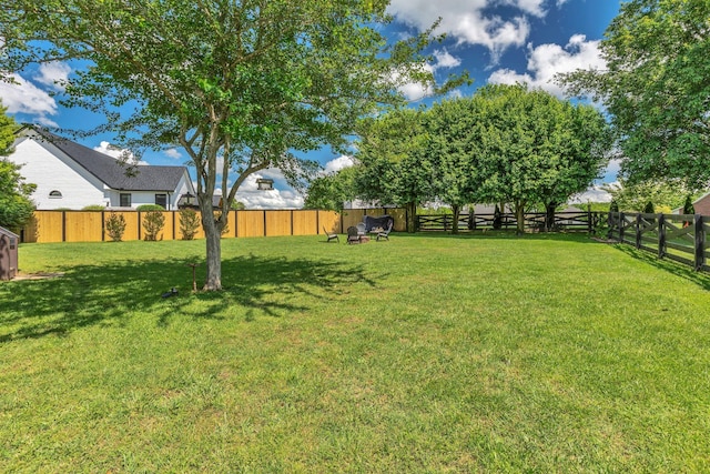 213 Hickory Trl, White House, TN 37188 - view of yard