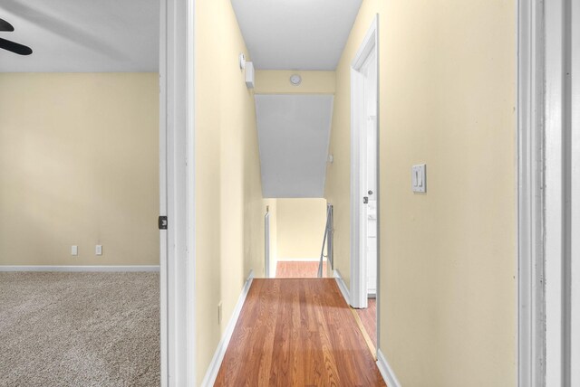 509 Jasmin Dr, Nashville, TN 37211 - photo 25