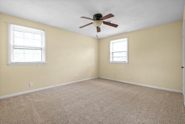 509 Jasmin Dr, Nashville, TN 37211 - photo 21