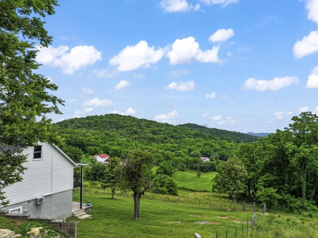 179 Ward Hollow Rd, Brush Creek, TN 38547 - photo 7