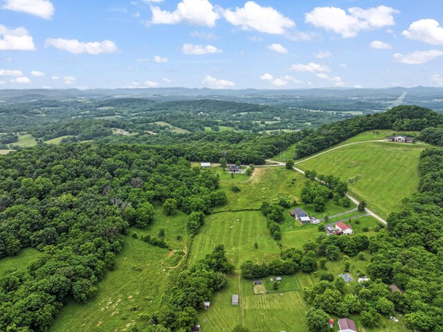 179 Ward Hollow Rd, Brush Creek, TN 38547 - photo 48