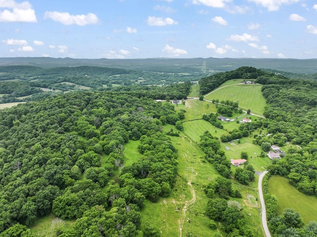 179 Ward Hollow Rd, Brush Creek, TN 38547 - photo 56