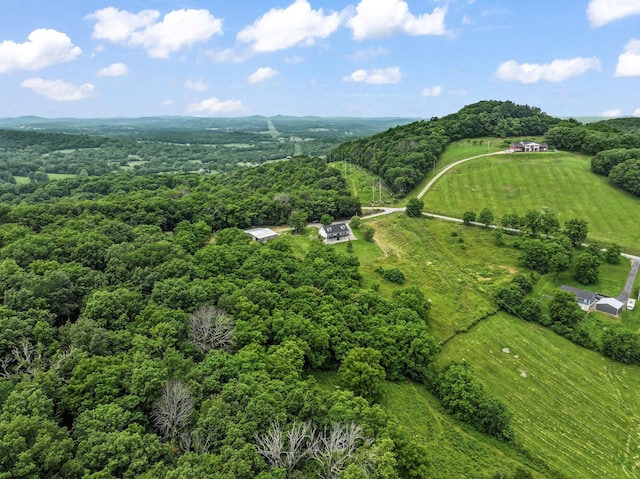 179 Ward Hollow Rd, Brush Creek, TN 38547 - photo 50