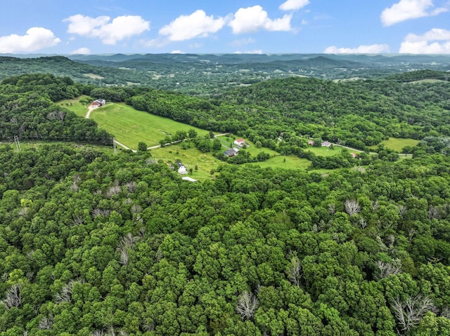 179 Ward Hollow Rd, Brush Creek, TN 38547 - photo 55