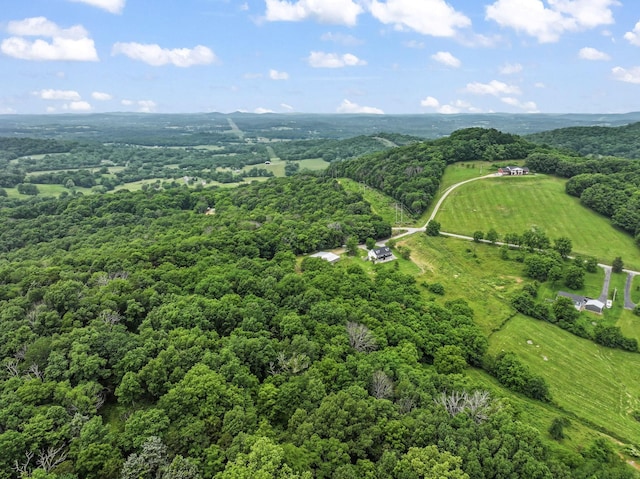 179 Ward Hollow Rd, Brush Creek, TN 38547 - photo 49