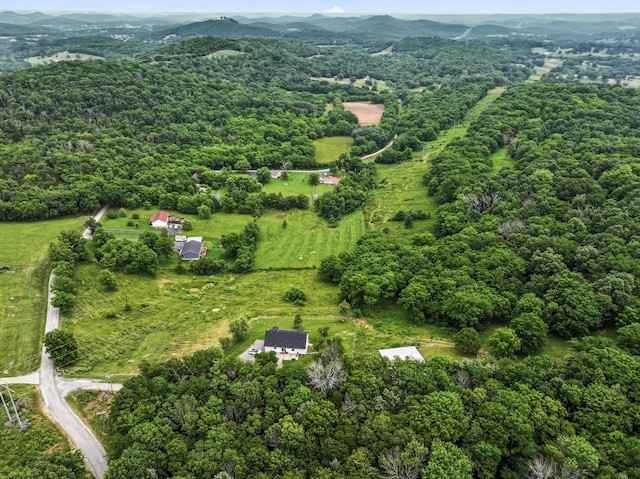 179 Ward Hollow Rd, Brush Creek, TN 38547 - photo 51